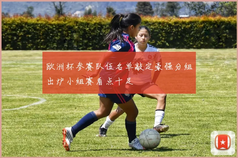 欧洲杯参赛队伍名单敲定豪强分组出炉小组赛看点十足