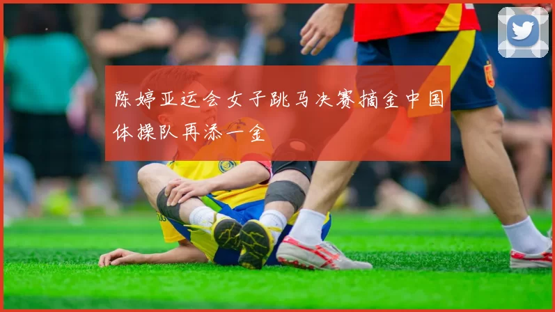 陈婷亚运会女子跳马决赛摘金中国体操队再添一金