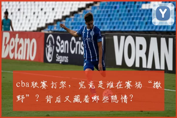 cba联赛打架，究竟是谁在赛场“撒野”？背后又藏着哪些隐情？