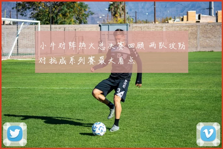 小牛对阵热火总决赛回顾 两队攻防对抗成系列赛最大看点